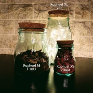 Διακοσμητικό Δοχείο Με Καπάκι από Ανακυκλωμένο γυαλί Raphael - Zero Waste προϊόντα