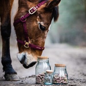 Διακοσμητικό Δοχείο Με Καπάκι από Ανακυκλωμένο γυαλί Raphael - Zero Waste προϊόντα