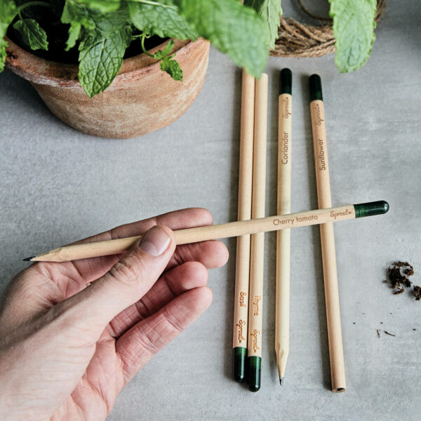Plantable Pencil With Herb Seeds - pencil that grows - zero waste products