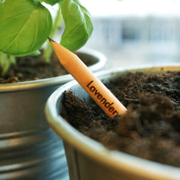 Plantable Pencil With Herb Seeds - pencil that grows - zero waste products