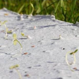 Χαρτί περιτυλίγματος δώρων με σχέδιο Χριστουγεννιάτικα ελάφια Βιοδιασπώμενο A3 - zero waste προϊόντα