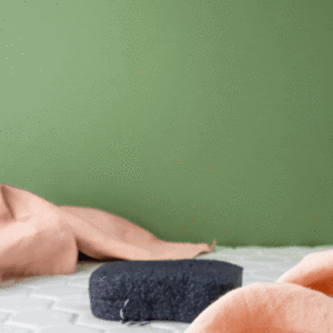 Σφουγγάρι Σώματος KONJAC